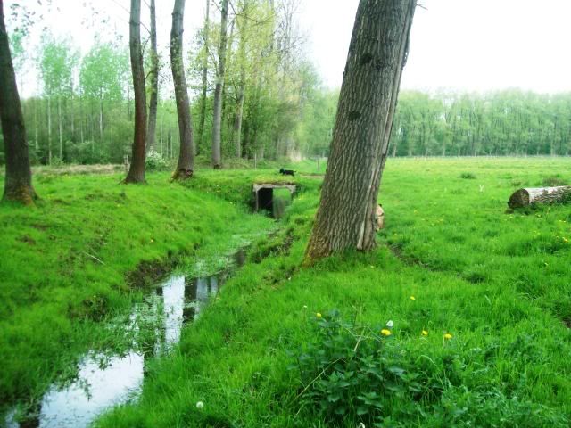 zaterdag lekker wezen wandelen 100_8802