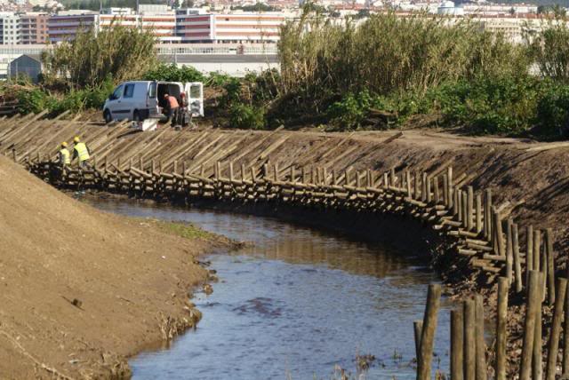 LOCAL: IBA das Salinas de Alverca e Forte da Casa (Vila Franca de Xira) DSC01632800x535_zps4233d7c8