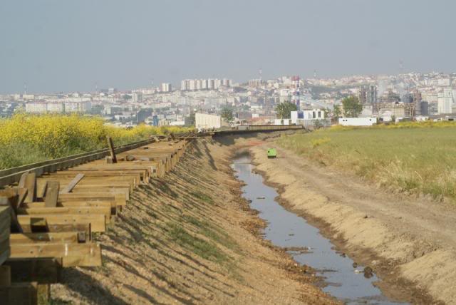 LOCAL: IBA das Salinas de Alverca e Forte da Casa (Vila Franca de Xira) DSC02892800x536_zps169d196b