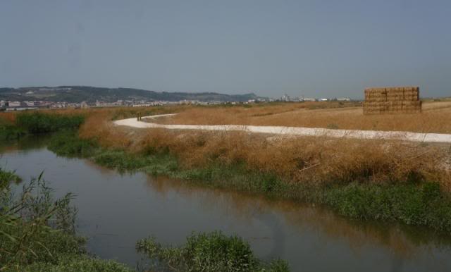 LOCAL: IBA das Salinas de Alverca e Forte da Casa (Vila Franca de Xira) P1080644800x483_zpsc28717e3