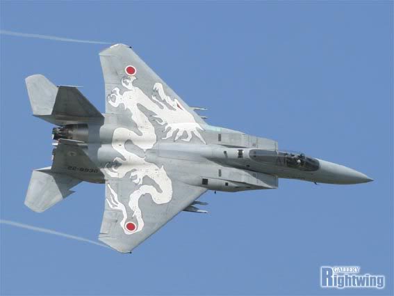 Armée Japonaise F15j_21