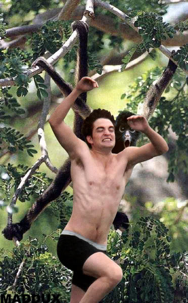 Team Fan: Robert Pattinson - Página 9 JumpingRobertPattinsonMeme11