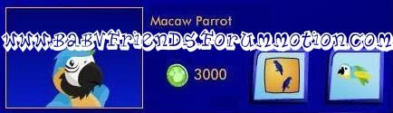 Macaw Parrot MacawParrot-1-1