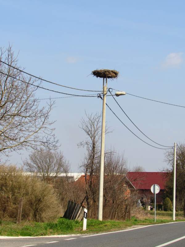 Malo uz prugu po Bjelovarsko-bilogorskoj i inim susjednim upanijama BjelovarskaPruga002