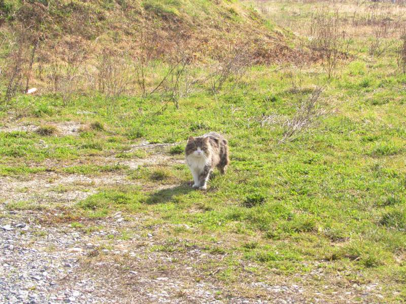 Malo uz prugu po Bjelovarsko-bilogorskoj i inim susjednim upanijama StajalisteZabjak05