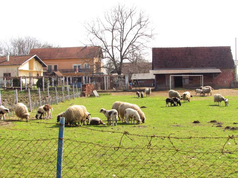 Malo uz prugu po Bjelovarsko-bilogorskoj i inim susjednim upanijama StajalisteZabjak16