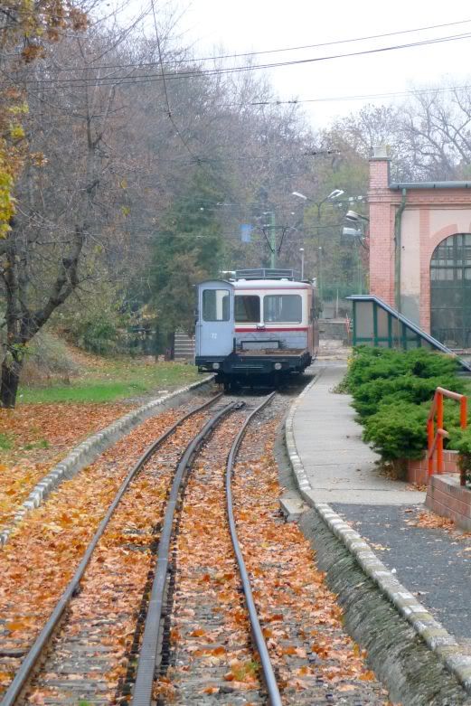 S Pfaffom po Budimpeti Budapest144