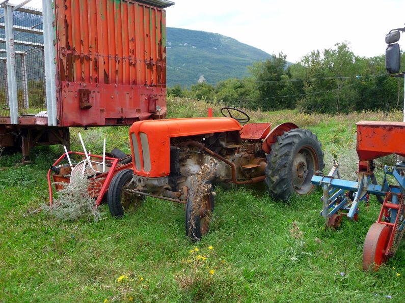 Po Istri - zgorun, zdolun i okolo  od epikog polja do Podpina pa u Labin IstraTour159