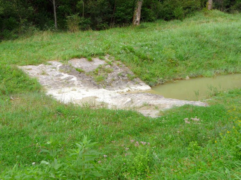 Po Istri - zgorun, zdolun i okolo  od epikog polja do Podpina pa u Labin IstraTour163