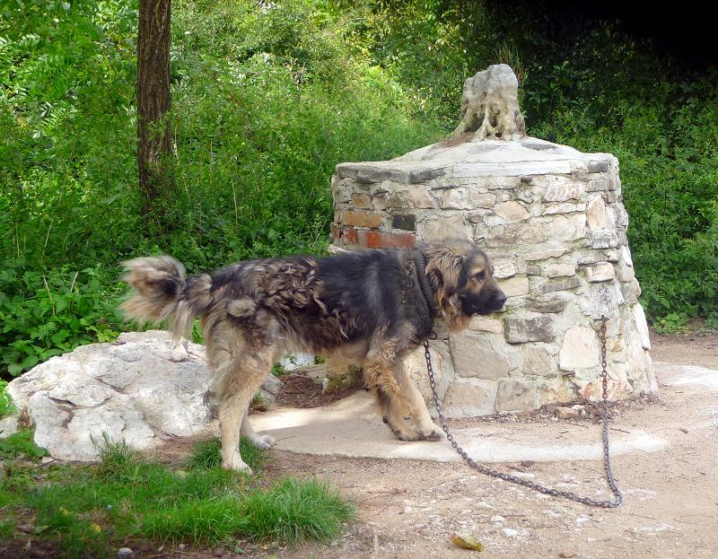 Po Istri - zgorun, zdolun i okolo  od epikog polja do Podpina pa u Labin IstraTour173