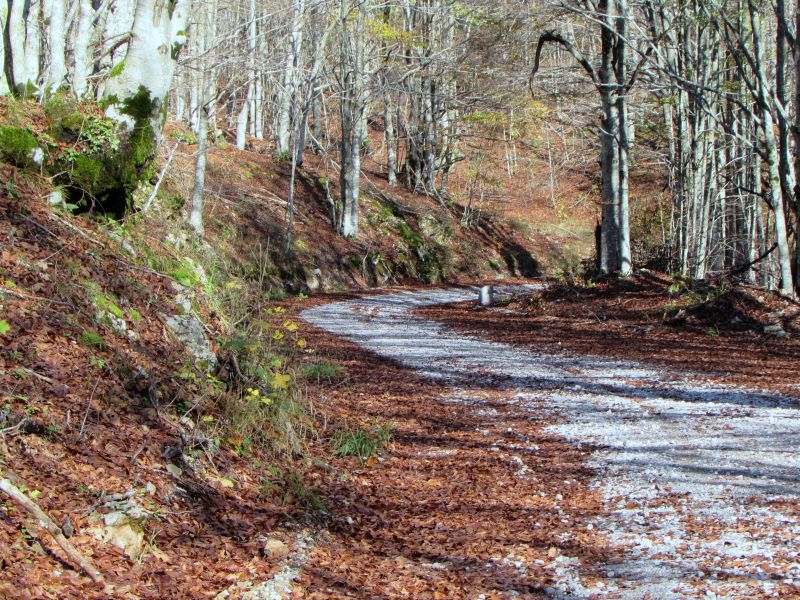 Preko Velebita pa od Graaca do Knina JuzniVelebit047