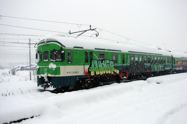 Izlet u Ljubljanu 30. sijenja 2010. DesantLJ061