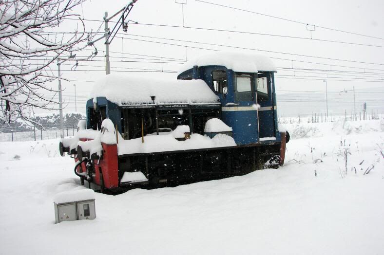 Izlet u Ljubljanu 30. sijenja 2010. DesantLJ062