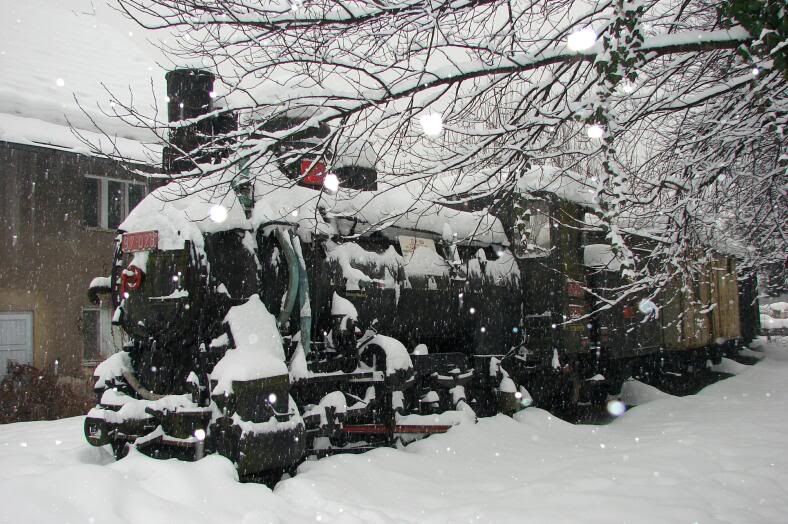 Izlet u Ljubljanu 30. sijenja 2010. MuzejLJ328