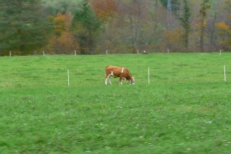 Pfaff u Sloveniji (2. put) BohinjskaProga045