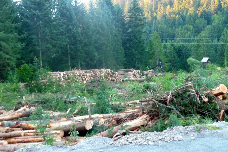 Po Istri - zgorun, zdolun i okolo  od epikog polja do Podpina pa u Labin RijekaLokve276