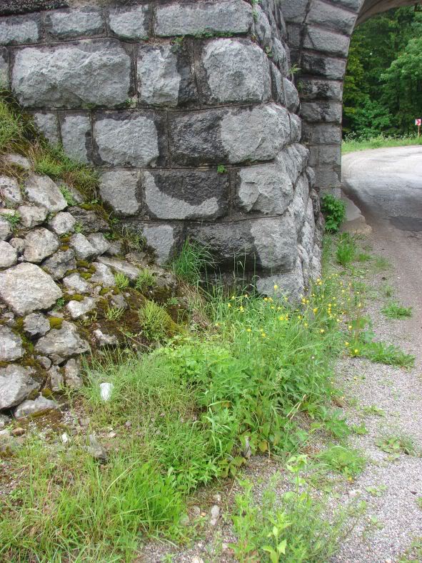 Sliice Rijeke pruge i Gorskog kotara StanicaLokveMaj148