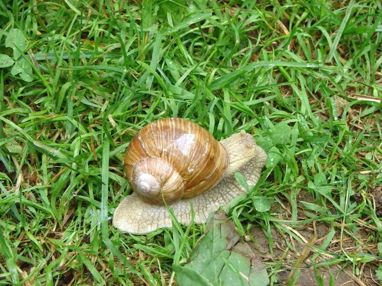 Sliice Rijeke pruge i Gorskog kotara StanicaLokveMaj163