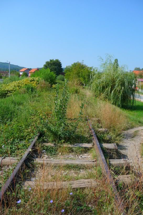 Nekadanji kolodvor Petrinja StanicaPetrinja049