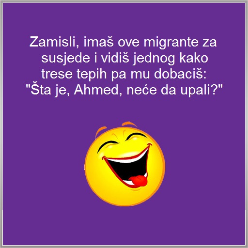 Malo za nasmijat se... - Page 10 MigrantTepih