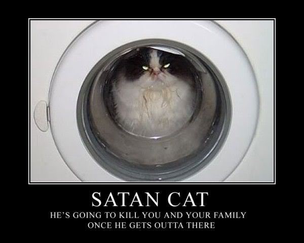 Photo Thread #1 SatanicCat