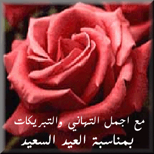 عيد المرأه 01228192263