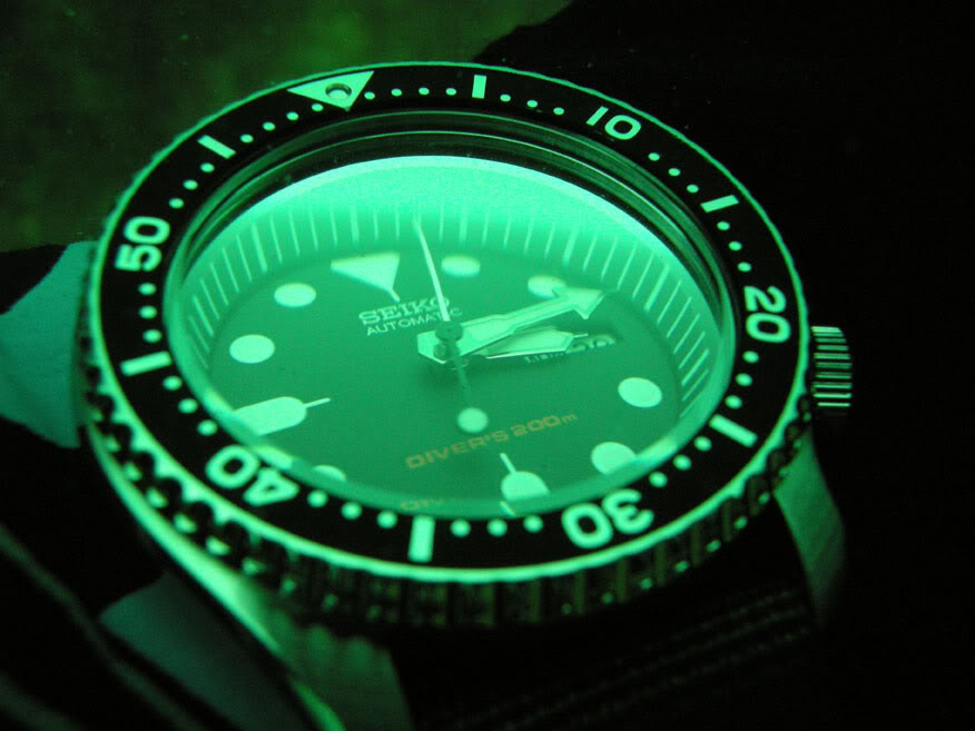 Wristshots de nos montres de plongée - Page 3 DSCN3850b