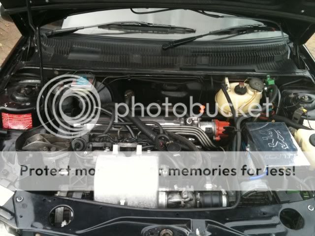 Black 205 GTi 1.9 Photo2