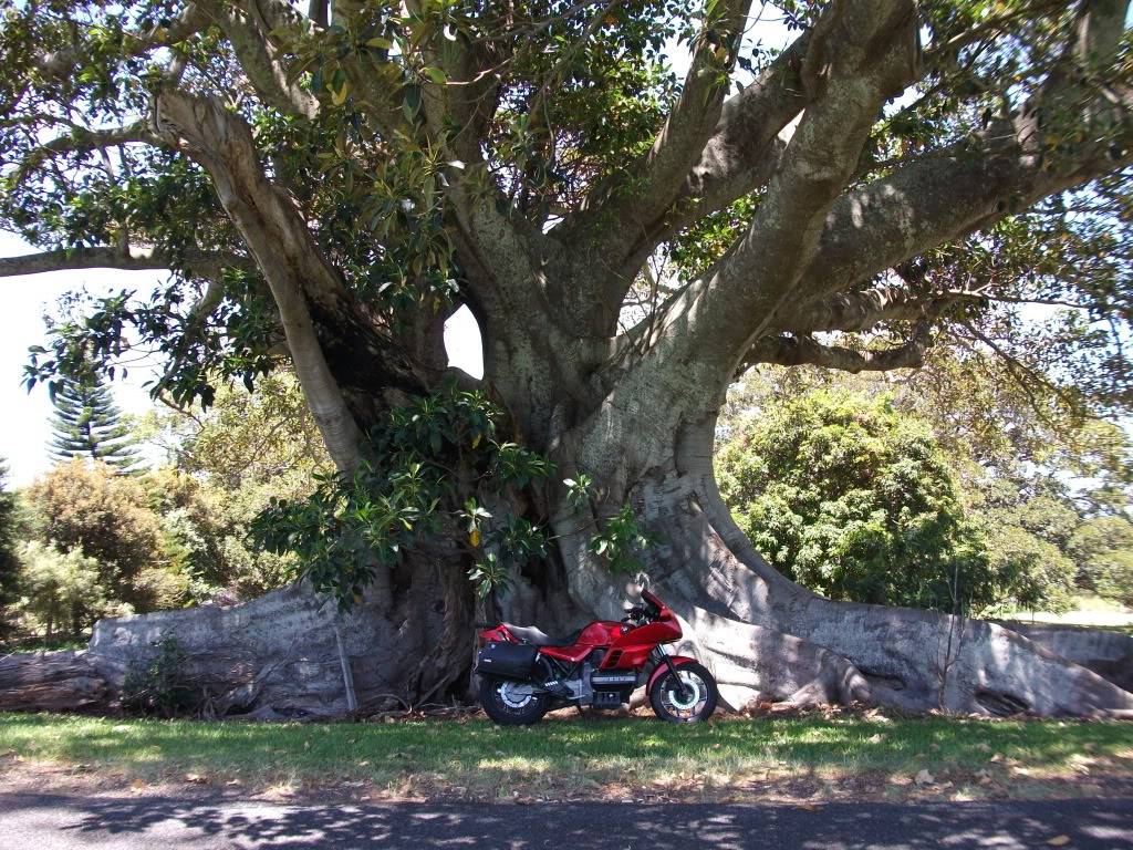 A recent Summer Sunday Ride in New South Wales. DSCF0052