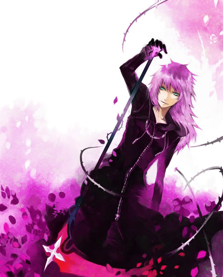 Nummer 11 - Marluxia Blossoms