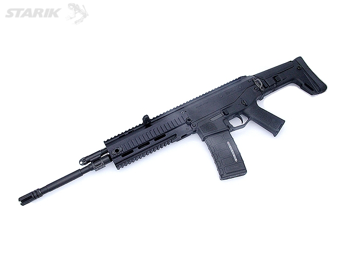 Achat d'un Bushmaster ACR RIMG_2262