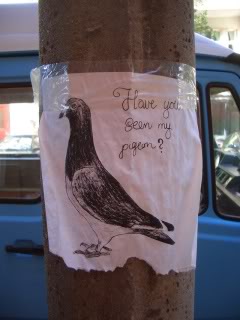 Reward for lost pigeon.... Lostpigeon
