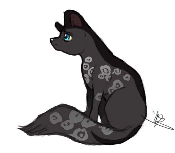 Character Requests! Rainpaw