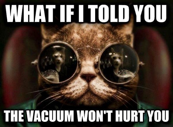 Post Funny Stuff - Page 2 What-if-i-told-you-the-vacuum-wont-hurt-you-Matrix-Morpheus-cat-meme