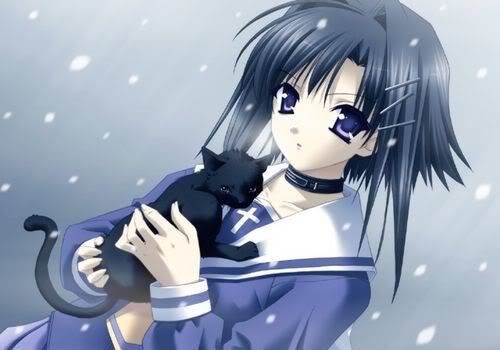 &#949;&#1111;&#1079; Nice Anime Girls &#949;&#1111;&#1079; Black_Cat