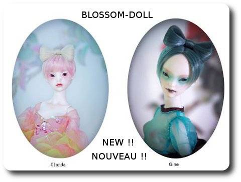 [Boutique fermée] Wind dolls - Page 9 BLOSSOM-DOLLACCUEILNEWDOLL