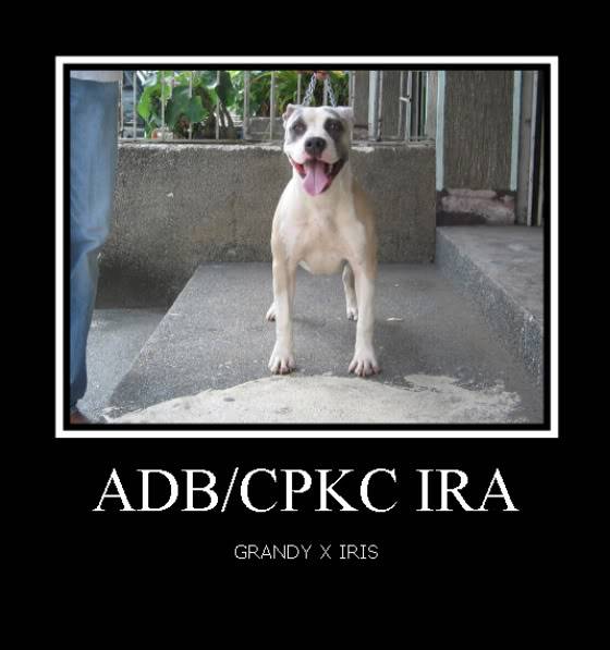 CPKC Post your Pits... PCCIREGNAMEandNoALTERRA0195R4BornOC