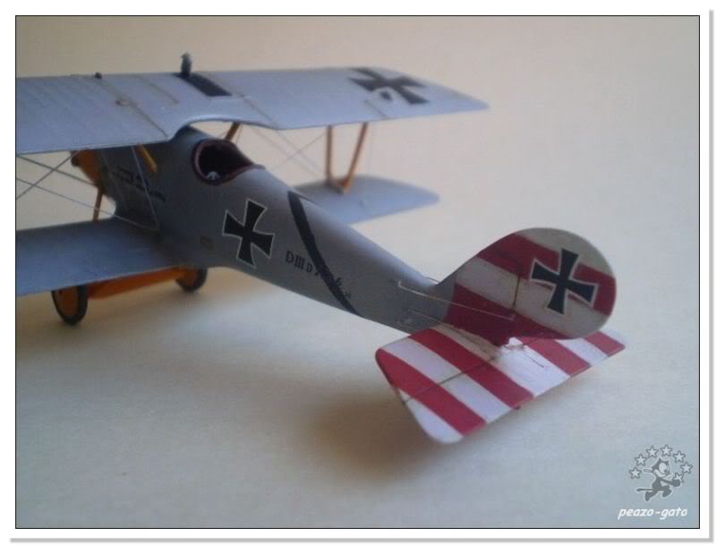 PFALZ D.III  Frierecich Rudenberg, Jasta 10, 1917 2PFALZDIIIpeazo-gato-1