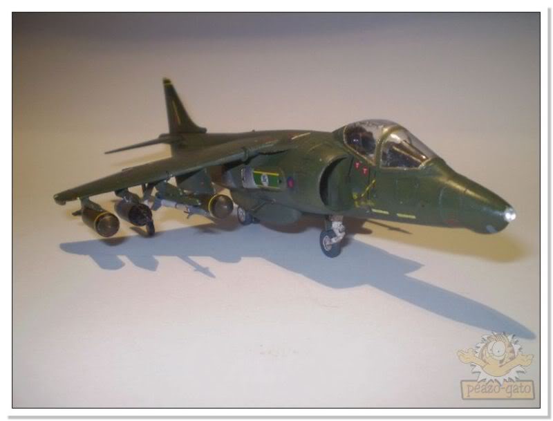 Bae Harrier GR5 49harrierpeazo-gato