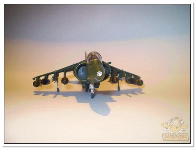 Bae Harrier GR5 50harrierpeazo-gato