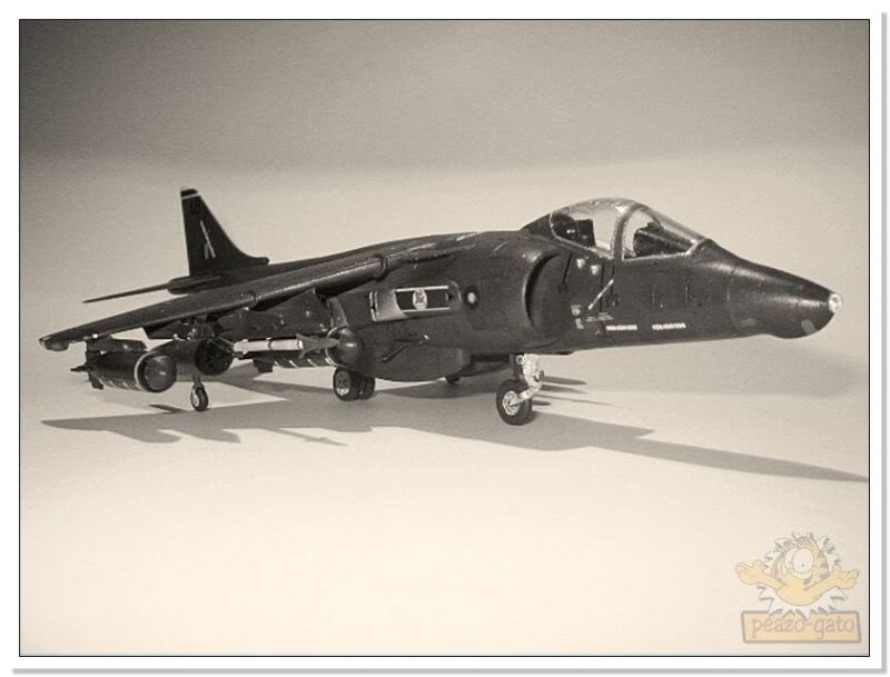 Bae Harrier GR5 53harrierpeazo-gato