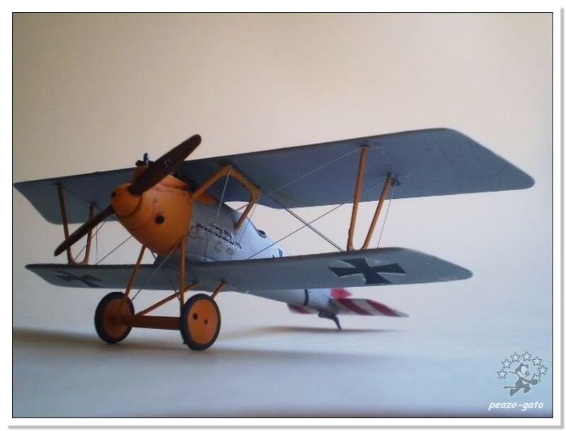 PFALZ D.III  Frierecich Rudenberg, Jasta 10, 1917 8PFALZDIIIpeazo-gato-1