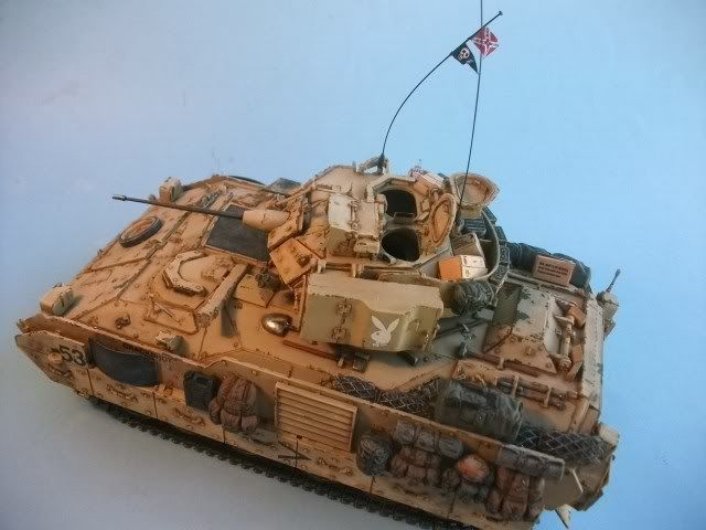 Bradley M2A2 (Irak 2003) 10BRADLEYpeazo-gato