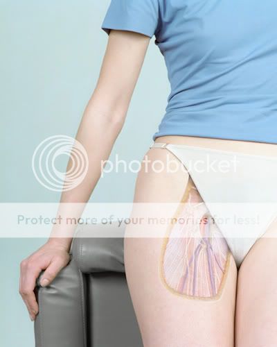 Perfect Your Biology Lessons Bodyart-002