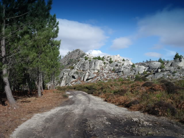 QUEM CONHECE BEM A SERRA DO ALVAO 26 MARÇO - Página 2 Reconhecimentoalvao015