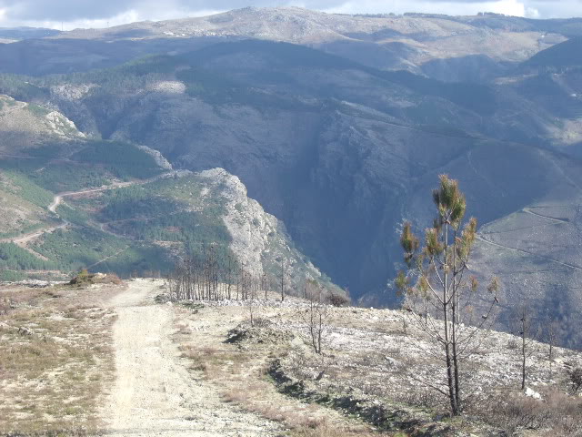 QUEM CONHECE BEM A SERRA DO ALVAO 26 MARÇO - Página 2 Reconhecimentoalvao022