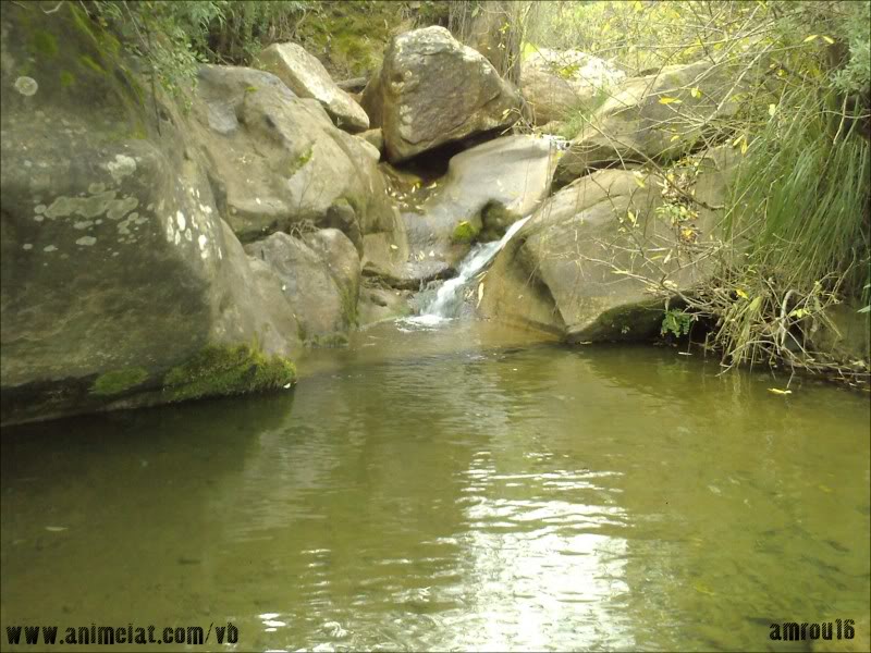  سحر الطبيعة موجود في الجزائر  Photos-0022