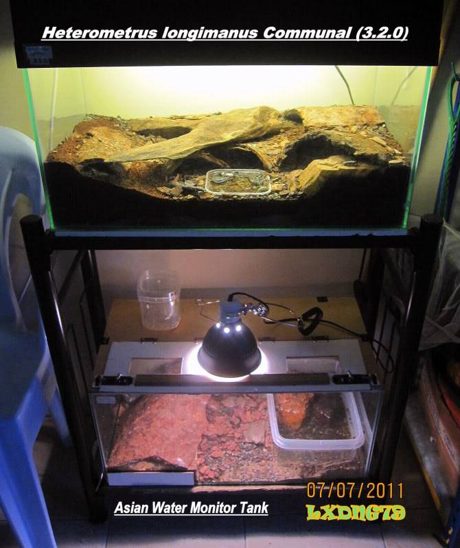 [Sharing] Show Off Your Enclosures - Page 11 HLCommAWM