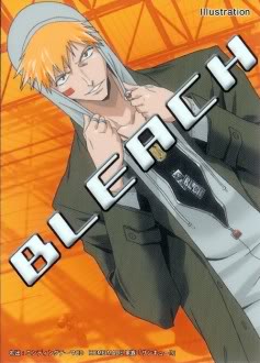 [Ichigo Kurosaki Gallery] Hot Hot Hot Bleachcm1013