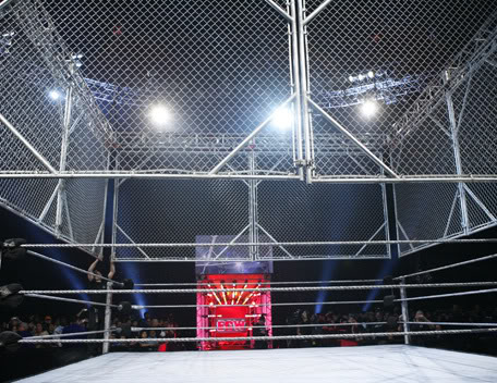 Resultados WWF Summer Slam Cage0227